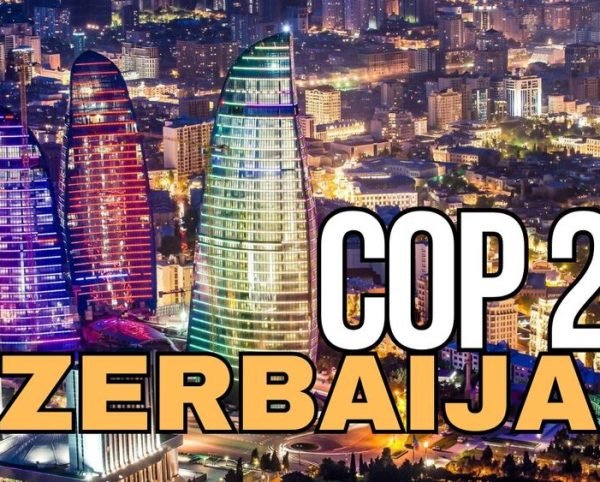 COP29 Komandası Əsas İş İstiqamətləri